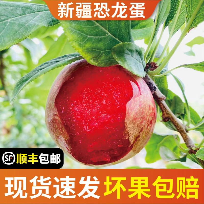 新疆正宗玫瑰恐龙蛋新鲜采摘酸甜多汁大果精选红心李3斤