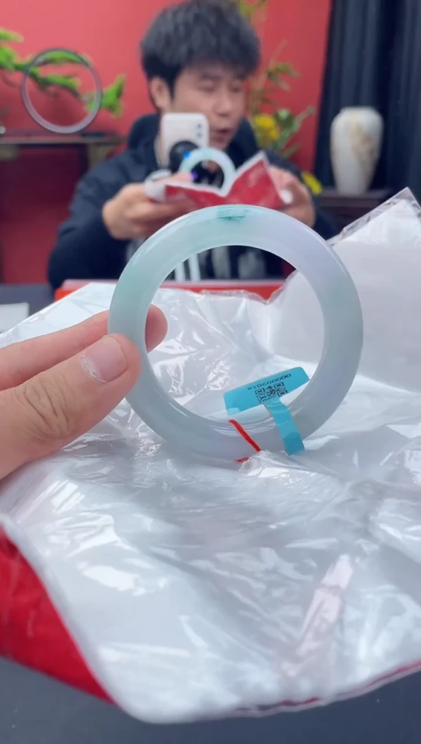 未镶嵌手镯翡翠2