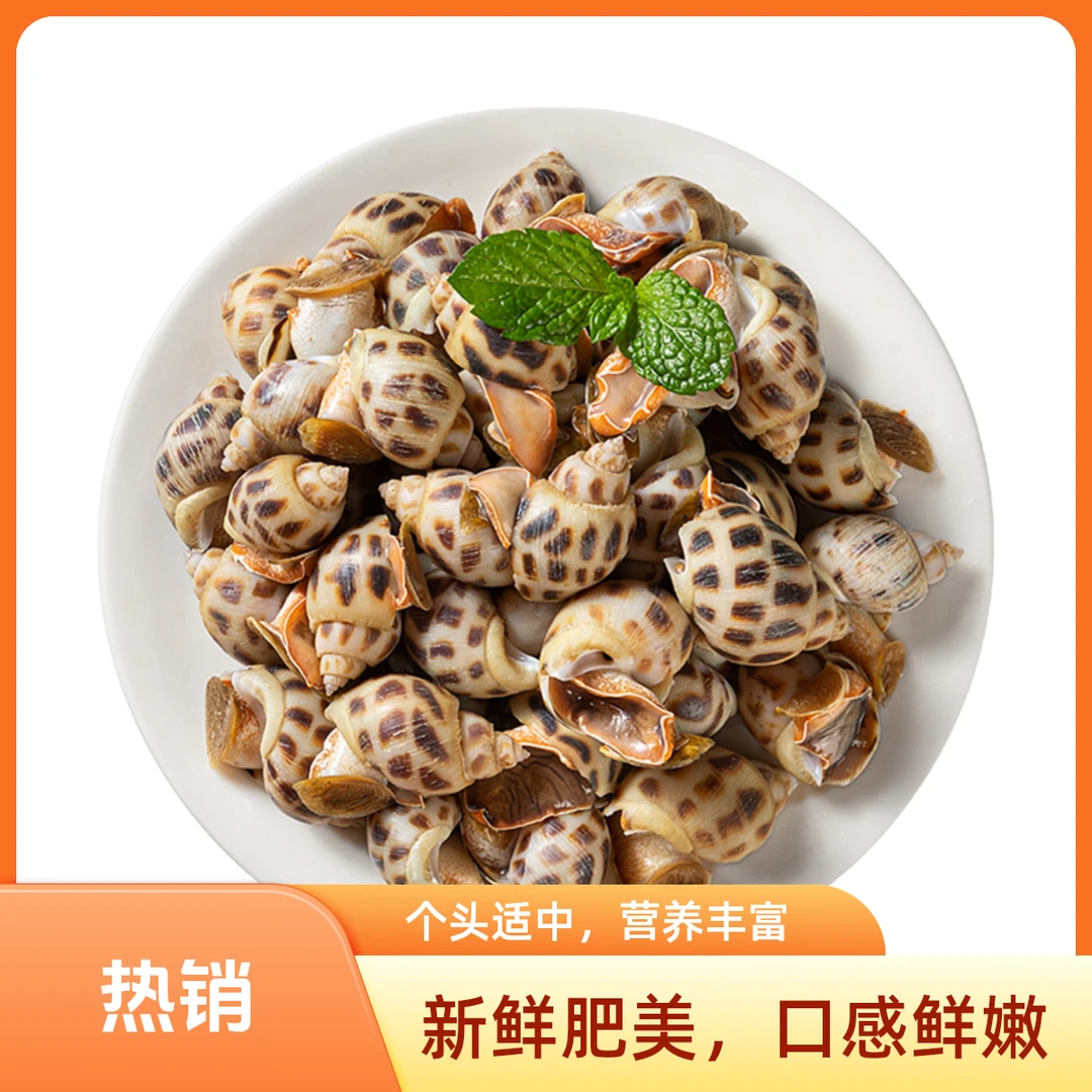 鲜活花螺400g