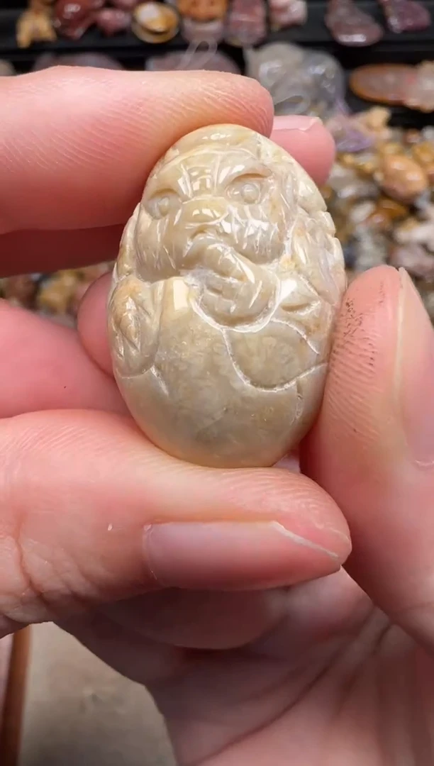 硅化珊瑚（珊瑚玉）未镶嵌颈饰089