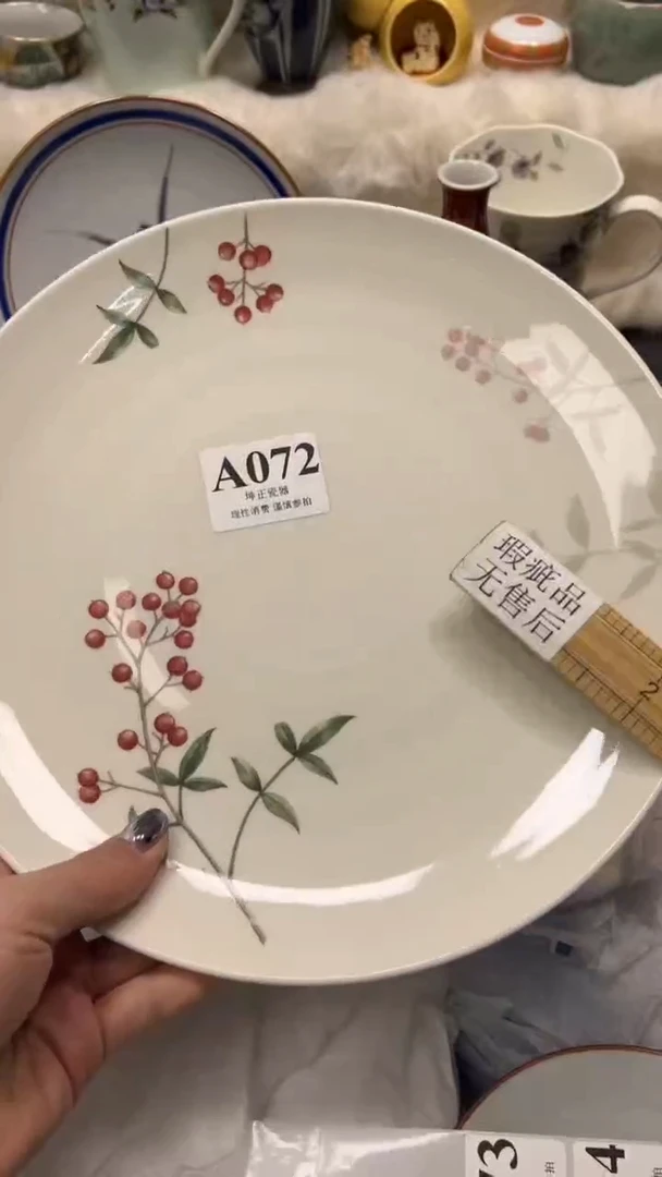 【闪购商品】瓷片          A072
