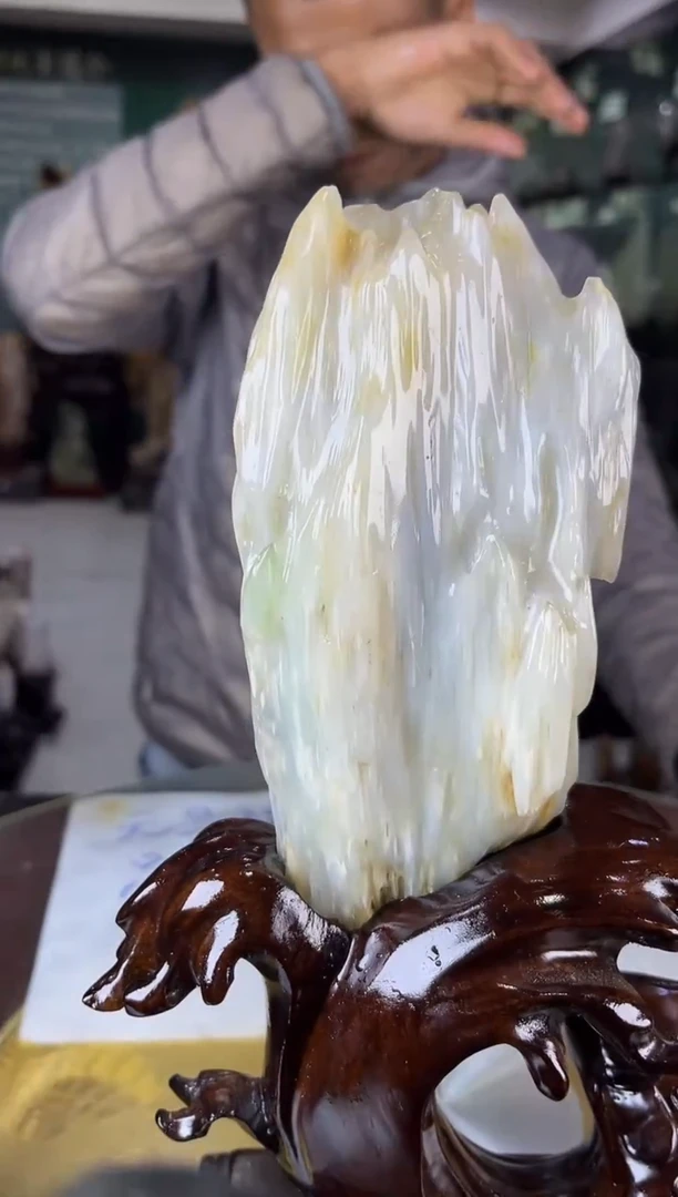 未镶嵌珠宝奇石硅化玉缅甸天然树化玉精品居家摆件