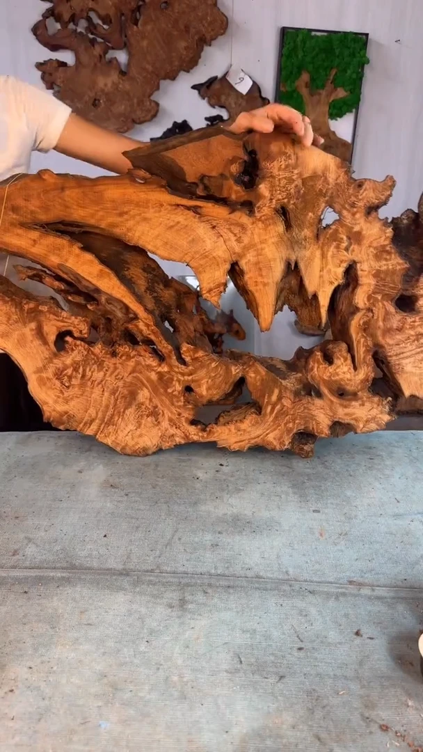 香杉木木头款杉木瘤随型【原料】038