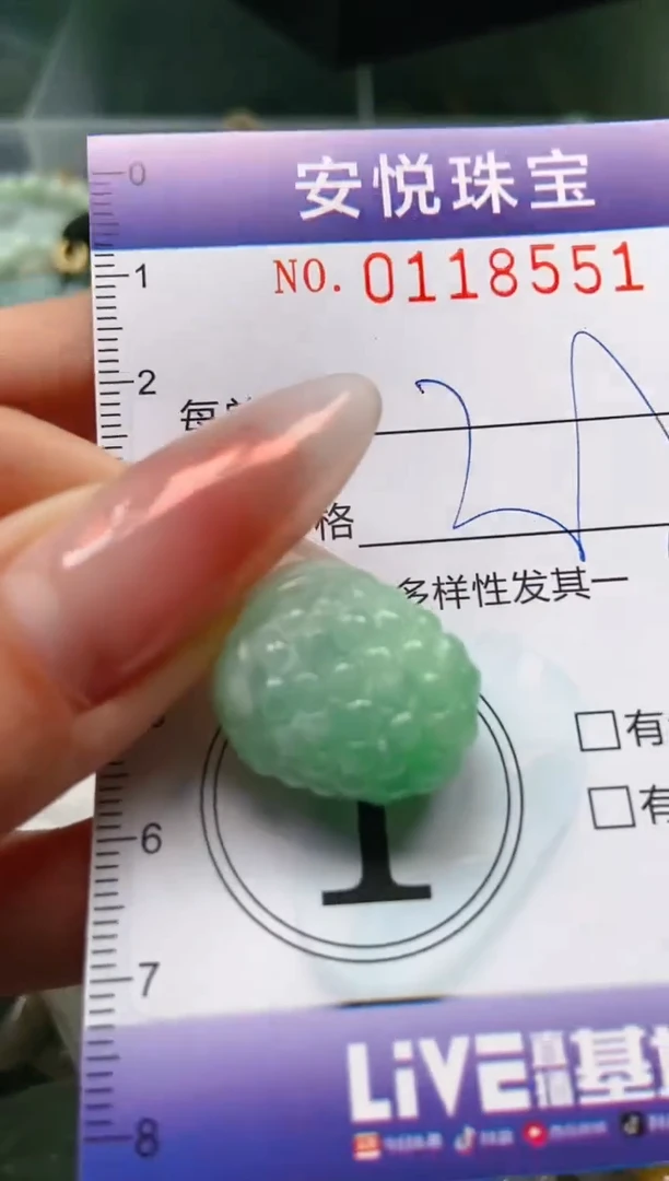 【闪购商品】翡翠颈饰未镶嵌闪购0118551