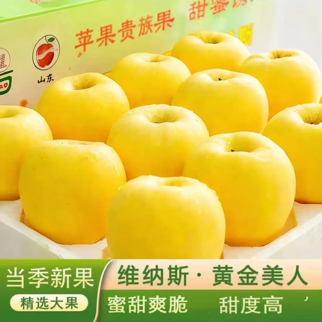 山东维纳斯苹果新鲜水果采摘产地直发纯甜无酸清脆可口冰糖心脆甜