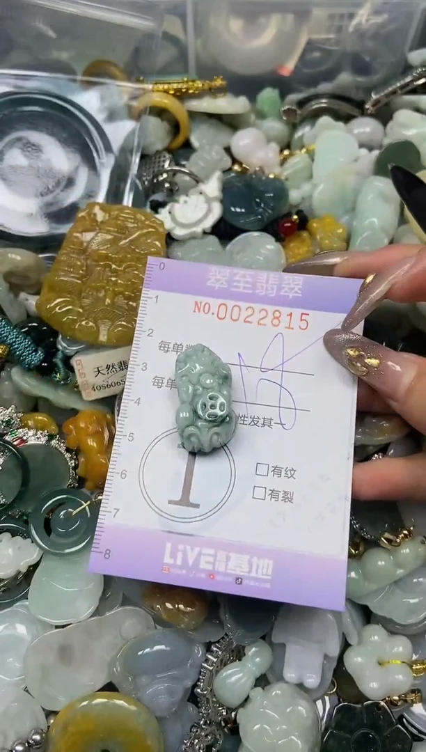 【闪购商品】翡翠颈饰未镶嵌闪购0022815