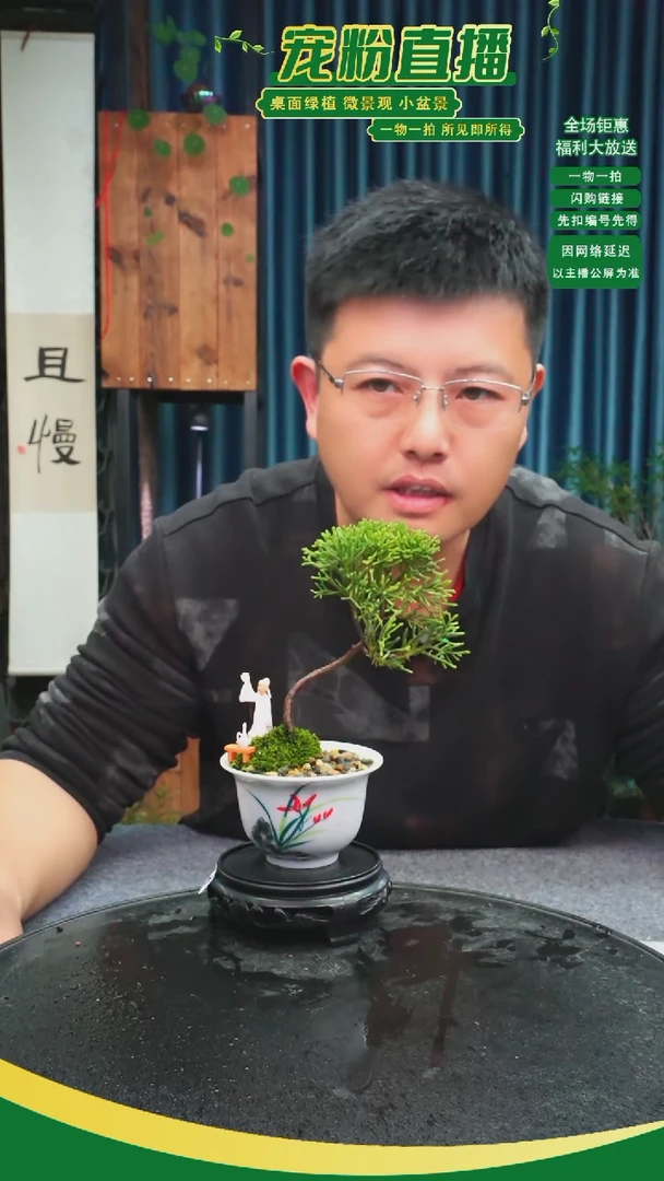 无花朵ᨳ****?苔藓微景观219号