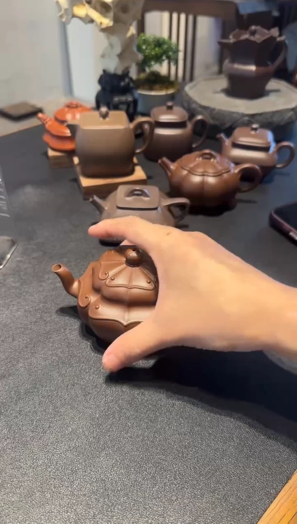 茶壶紫砂红*向阳而生