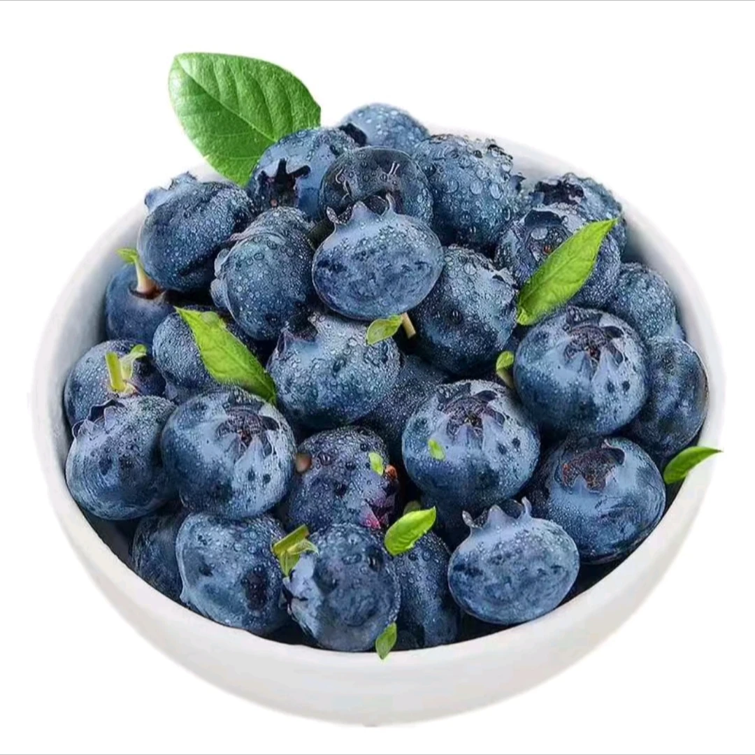 【次日达】丹东L25香甜蓝莓味浓果肉细腻18mm+ 毛重500gL25辽宁省丹东市