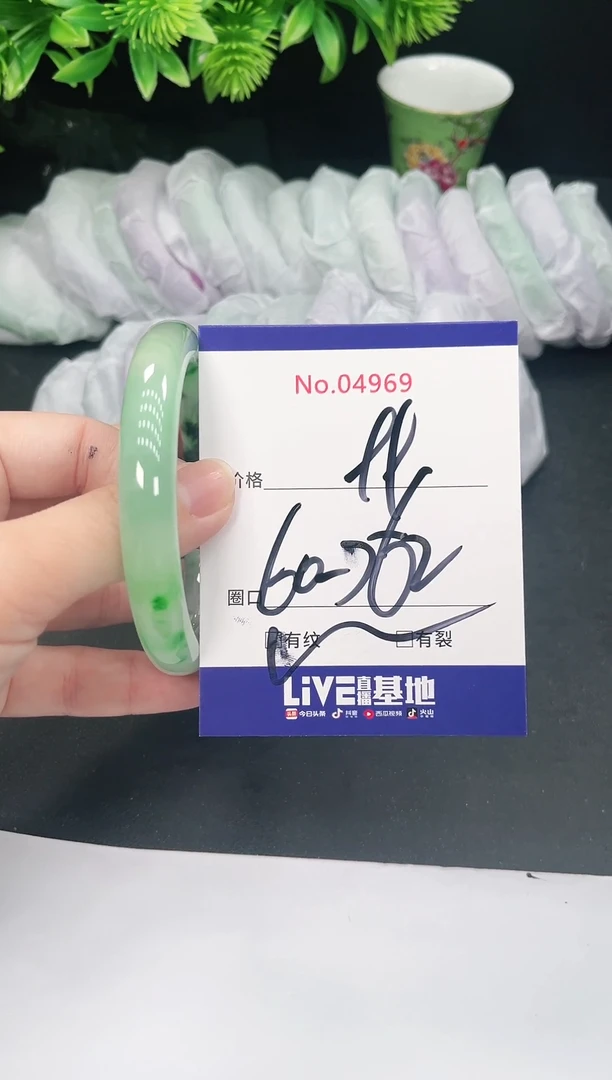 未镶嵌手镯翡翠4969