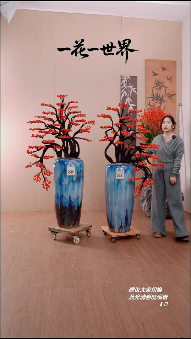 完全开放中****车北美冬青链接86