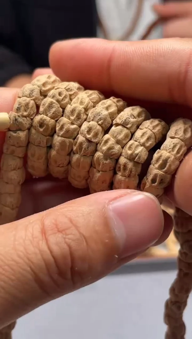 手串柏香籽/百香籽百香籽大肠5