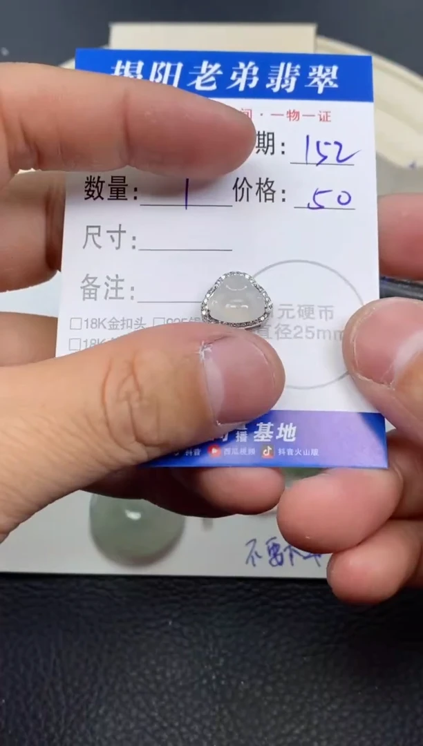 【闪购商品】翡翠颈饰银S925镶嵌多样性发其中一件