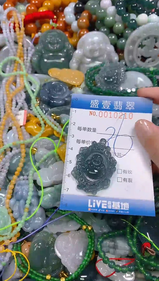 颈饰未镶嵌翡翠闪购0010210