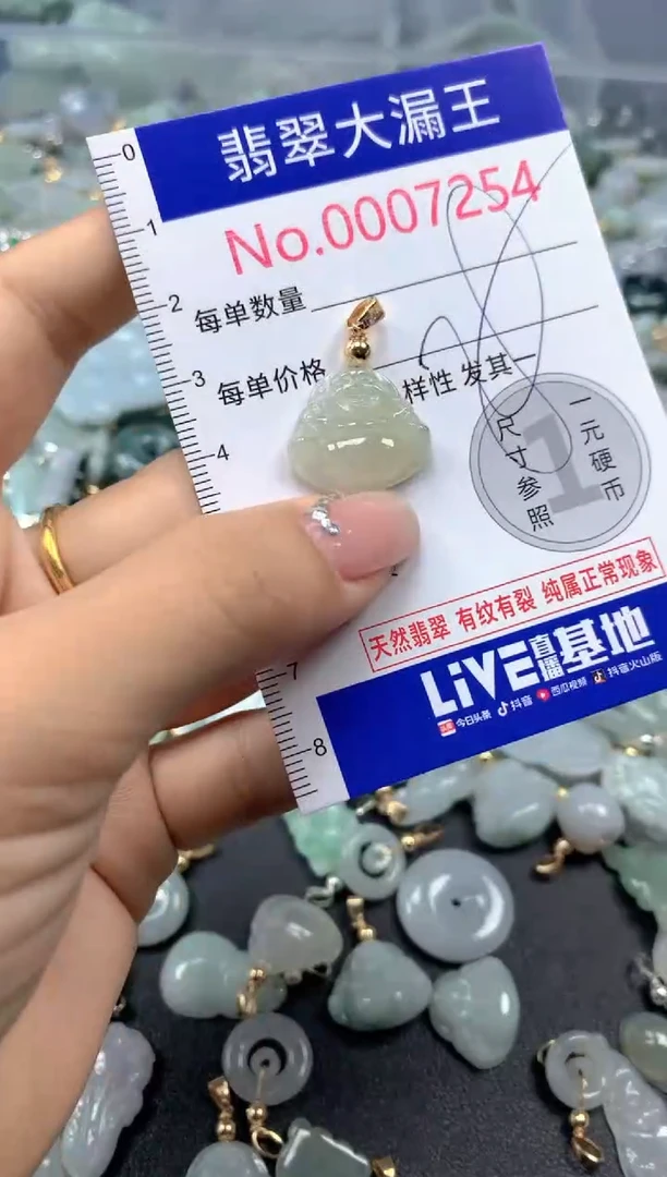 颈饰未镶嵌翡翠7254