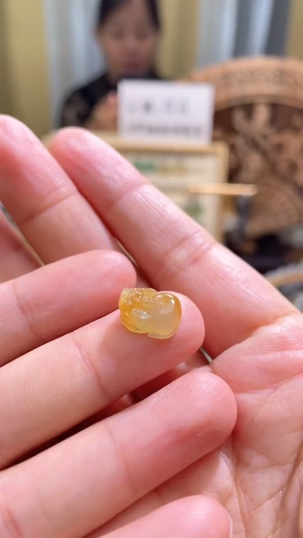 翡翠未镶嵌颈饰貔貅