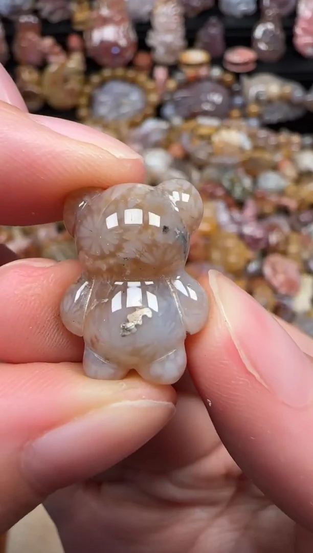 颈饰未镶嵌硅化珊瑚（珊瑚玉）536