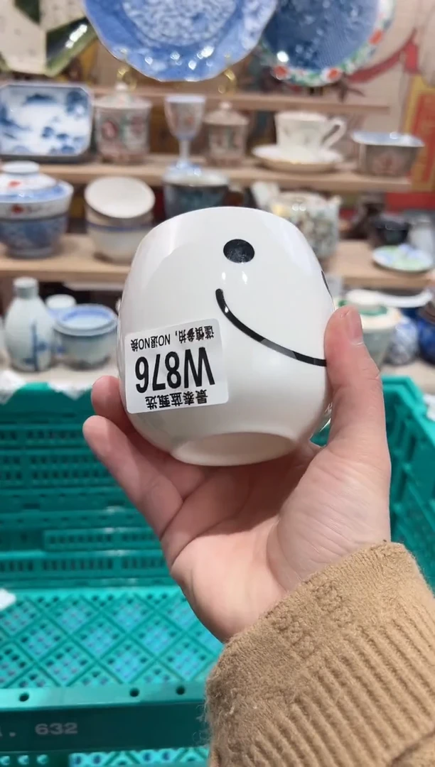 【闪购商品】瓷片当天凑满25米包邮W876