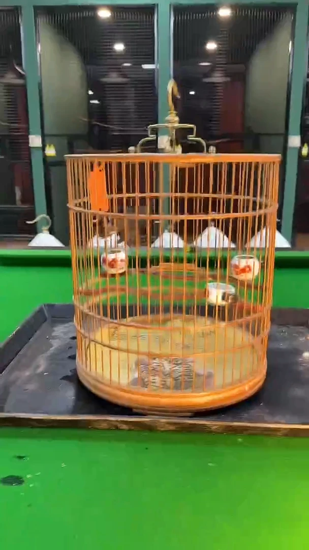 7号绣胸养笼0元起拍