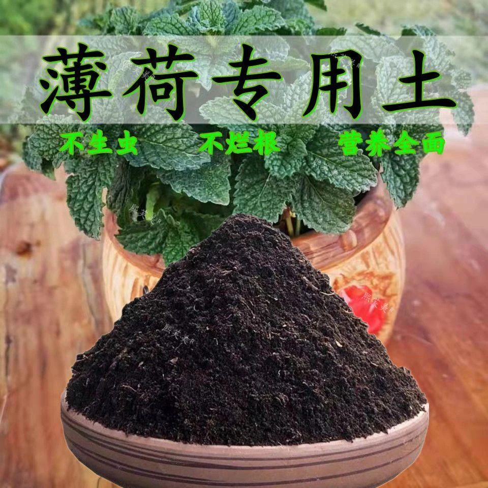 薄荷专用土薄荷盆栽营养土阳台种植疏松透气弱酸性绿植有机肥料土
