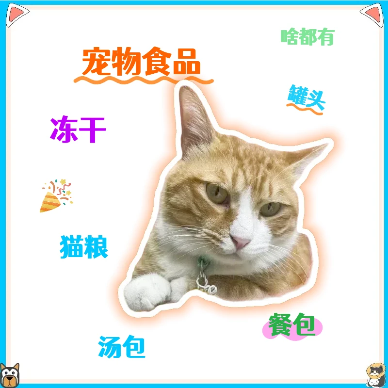 猫咪食品啥都有冻干主食罐猫粮餐杯