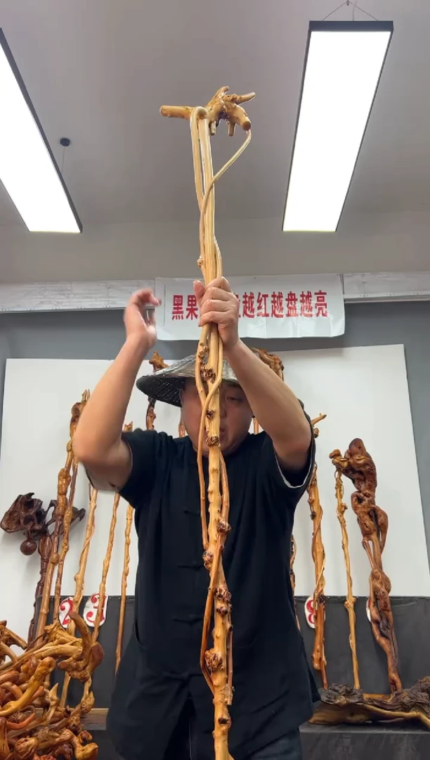 【闪购商品】黑果木其他黑果木703