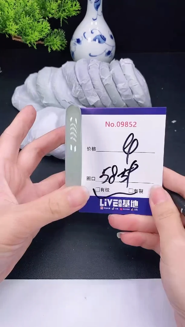未镶嵌手镯翡翠9852