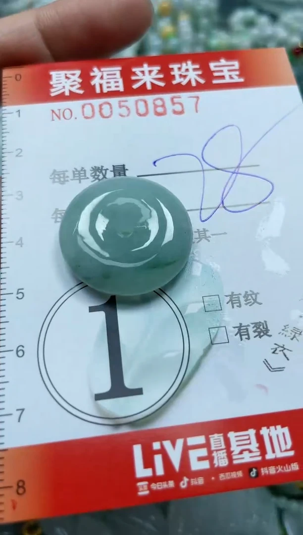 【闪购商品】翡翠颈饰未镶嵌闪购0050857