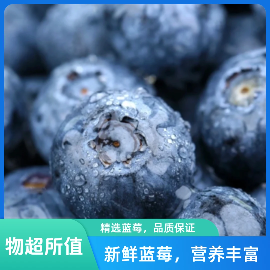 云南L25花香蓝莓新鲜水果孕妇妈妈宝宝辅食