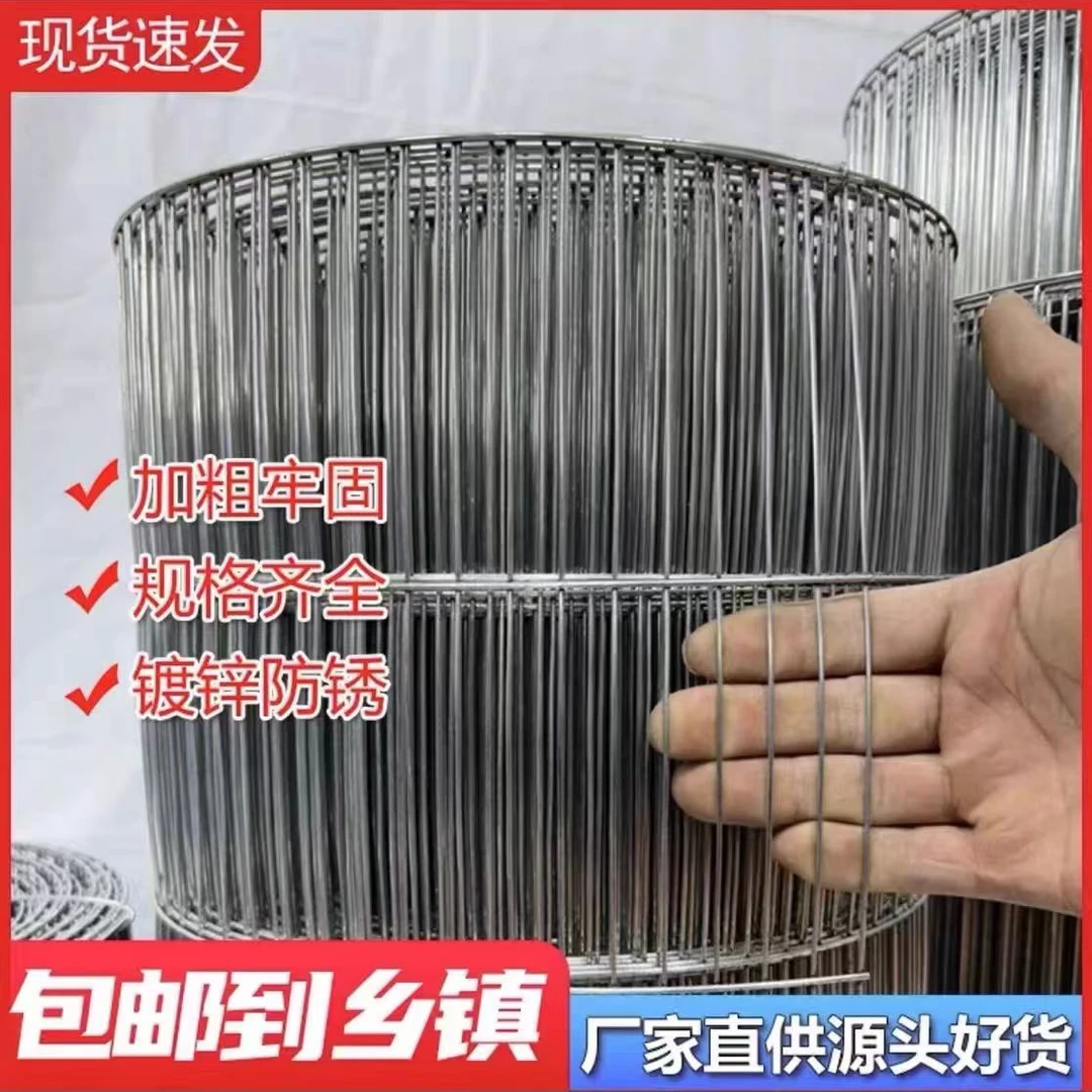 鸟笼网加粗兔笼鸽笼专用网定制网状防护铁丝网加工结构加粗钢丝网