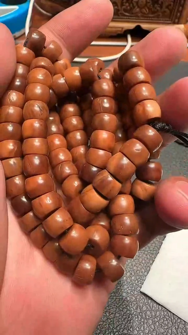 椰念珠椰念珠椰念珠