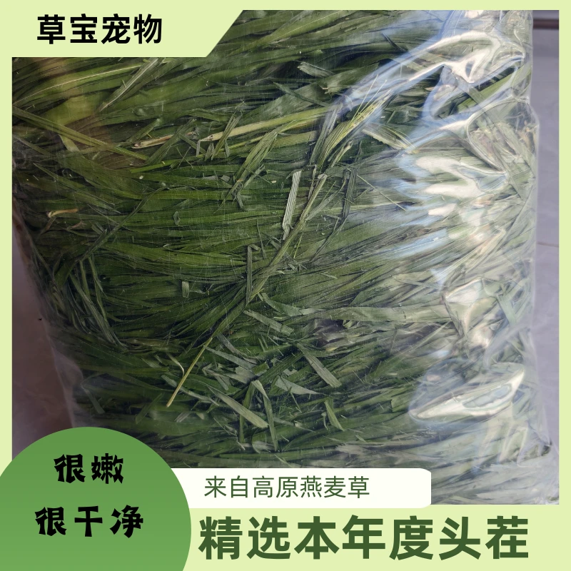 头茬烘干燕麦草兔子龙猫猪主食干草饲料