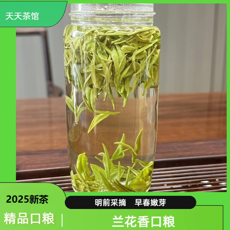 【兰花香口粮】2025新茶安吉原产明前特级甘甜绿叶茶