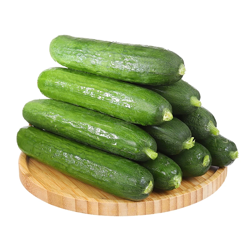 新鲜山东小黄瓜 500g±20g/份
