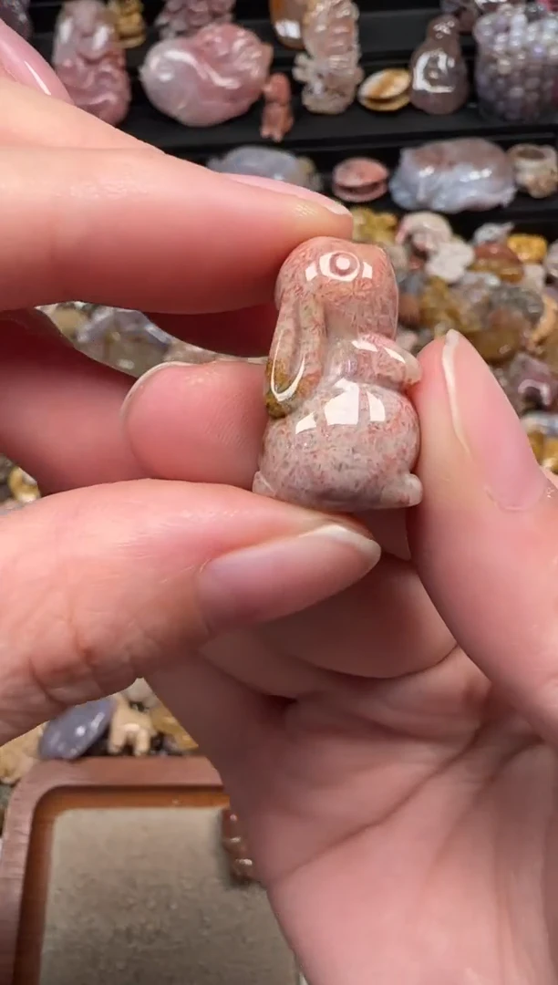 颈饰未镶嵌硅化珊瑚（珊瑚玉）193