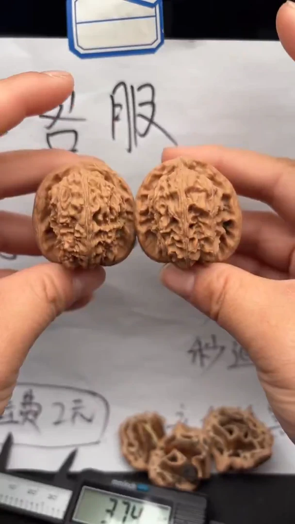 把件文玩核桃625白狮子