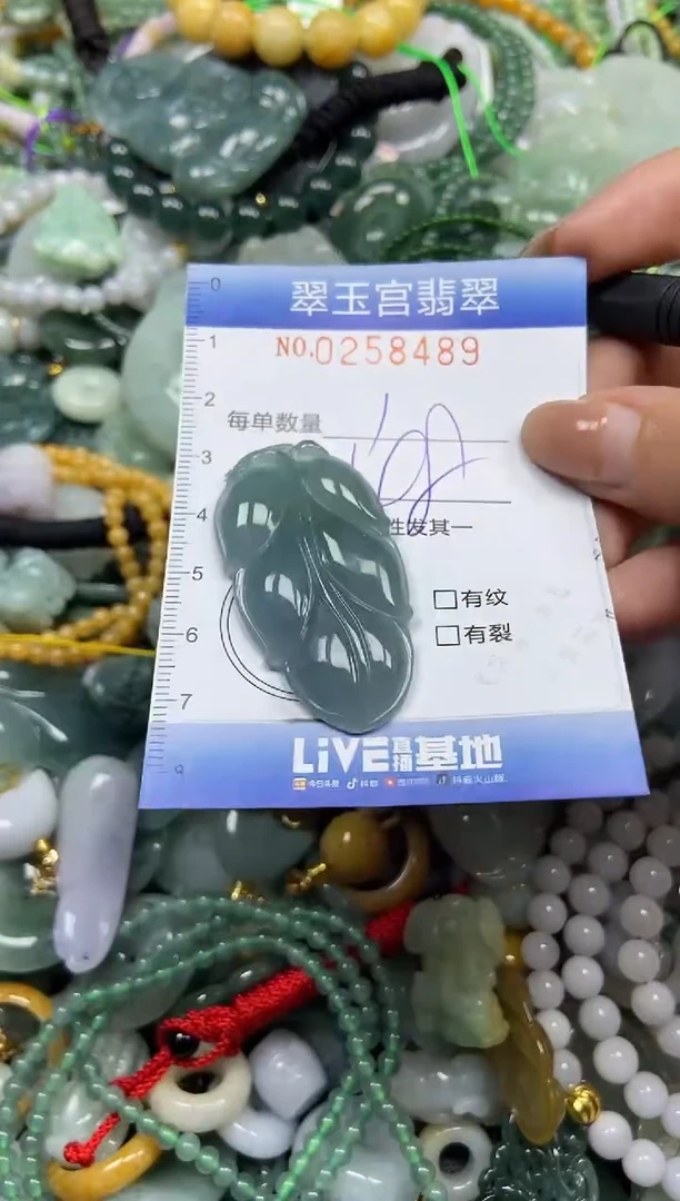 颈饰未镶嵌翡翠闪购C0258489