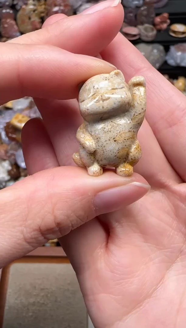 颈饰未镶嵌硅化珊瑚（珊瑚玉）315