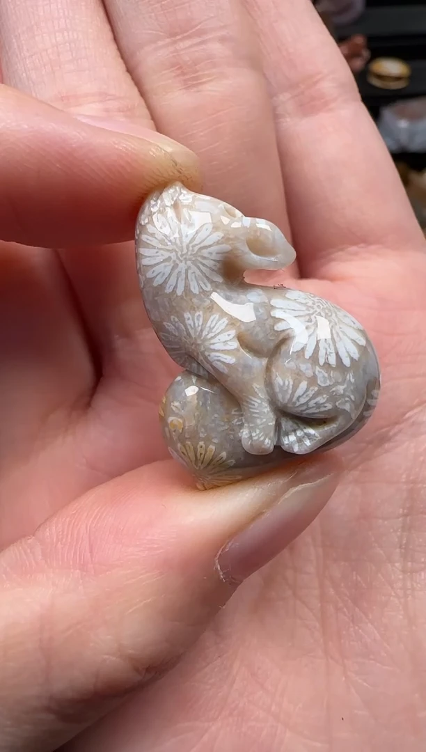 颈饰未镶嵌硅化珊瑚（珊瑚玉）185