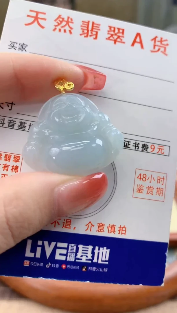 颈饰未镶嵌翡翠天然A货翡翠挂件