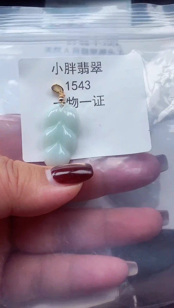 颈饰未镶嵌翡翠缅甸天然A货翡翠1543