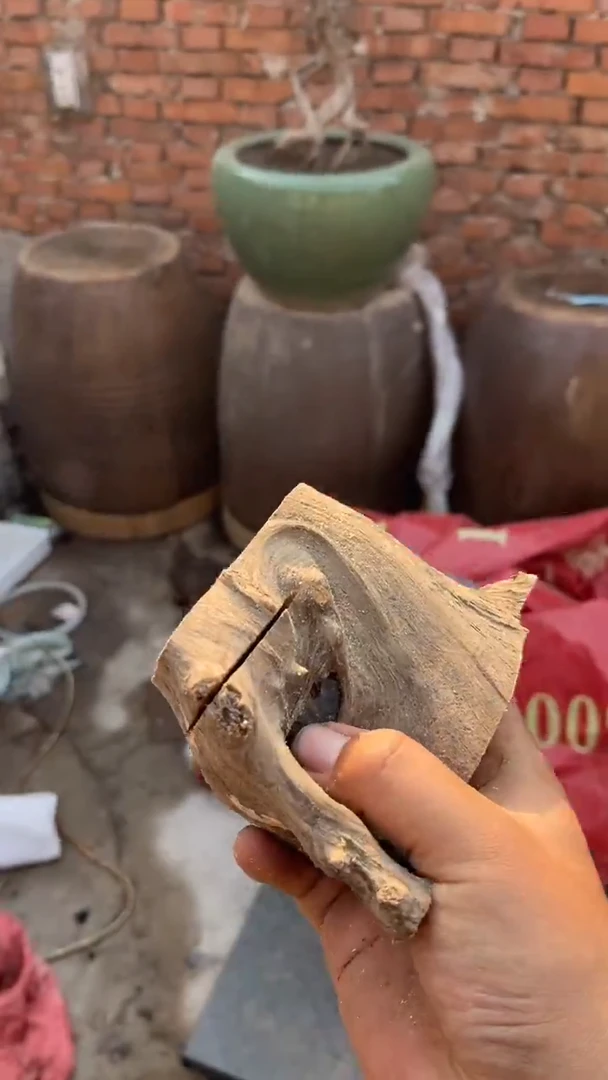 柏木（崖柏）南太行玉华抱石