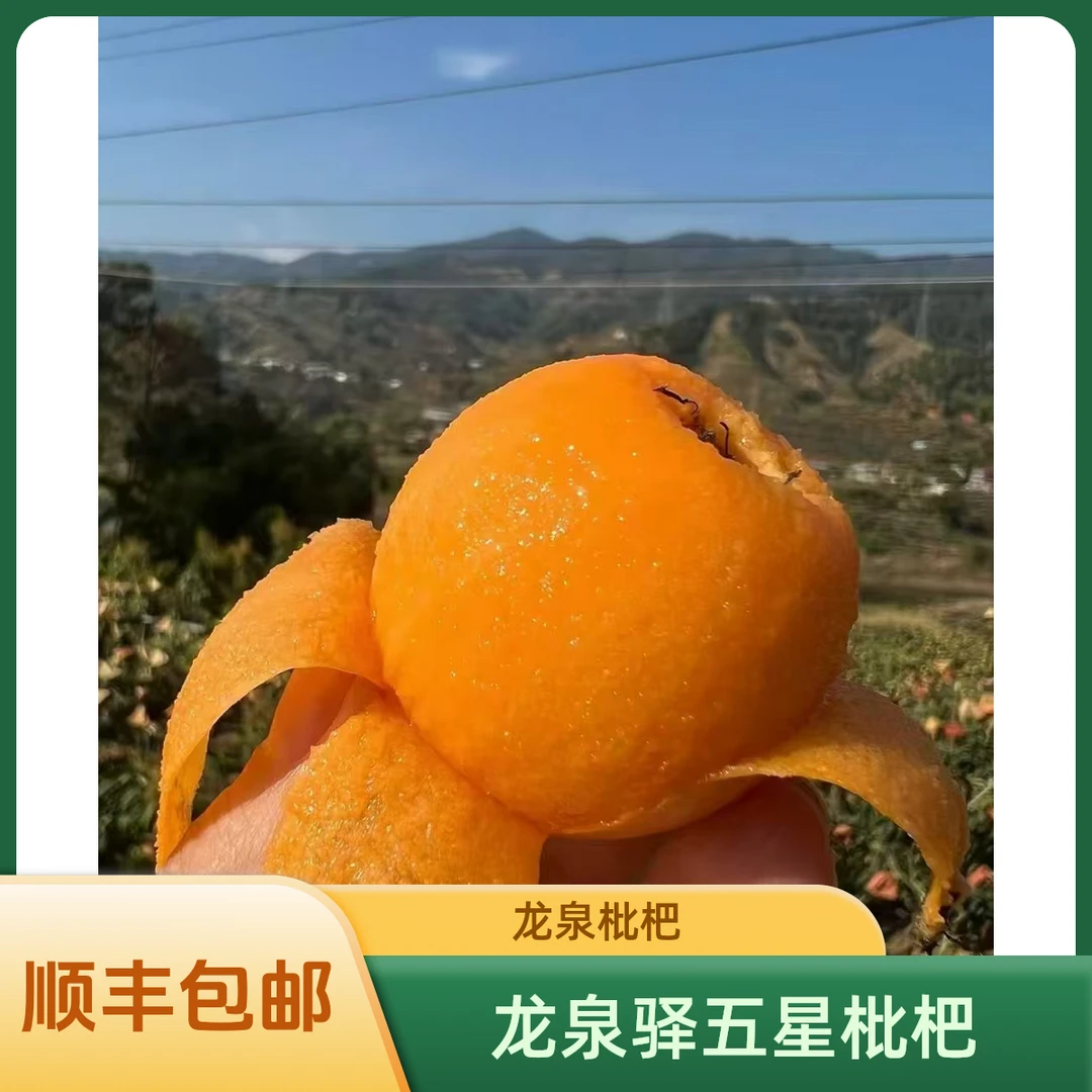 【顺丰包邮】四川龙泉大五星枇杷新鲜水果当季整箱甜枇杷3/5斤中果