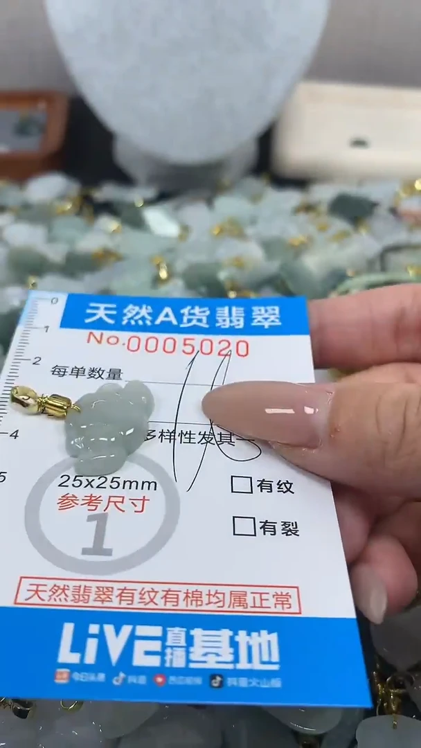 翡翠未镶嵌颈饰净货挂件-5020