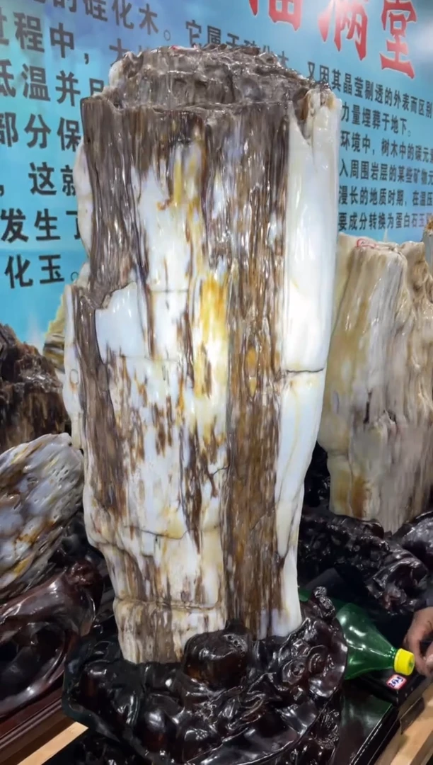 未镶嵌摆件硅化玉32