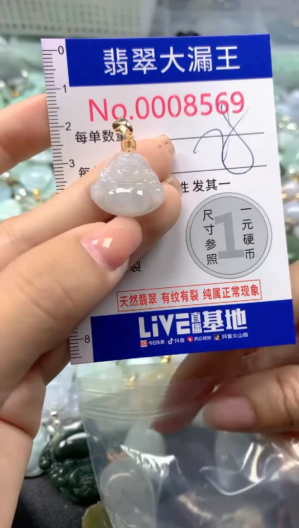 颈饰未镶嵌翡翠8569
