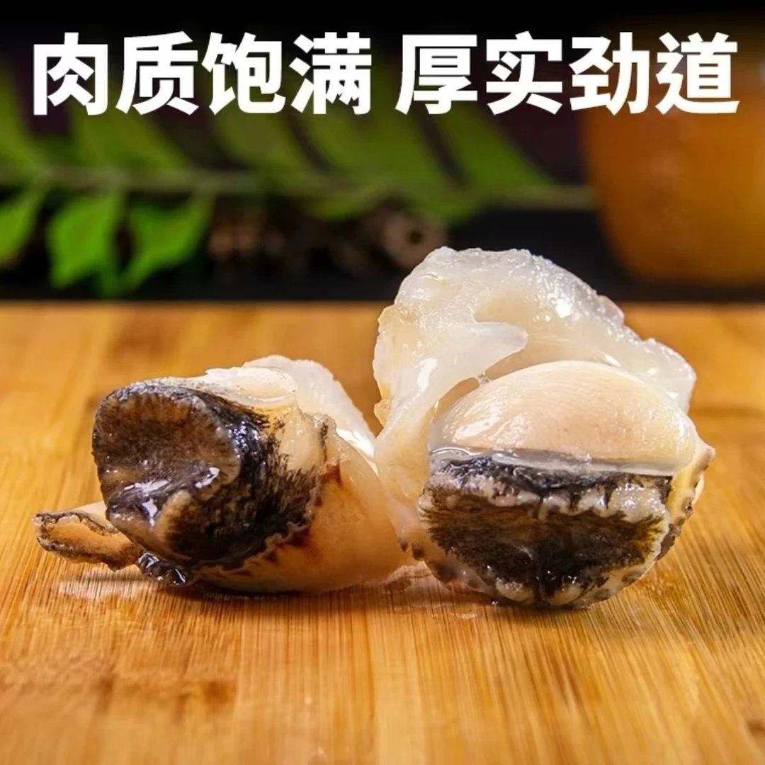 东港海螺肉肉质紧实口感甜脆可刺身