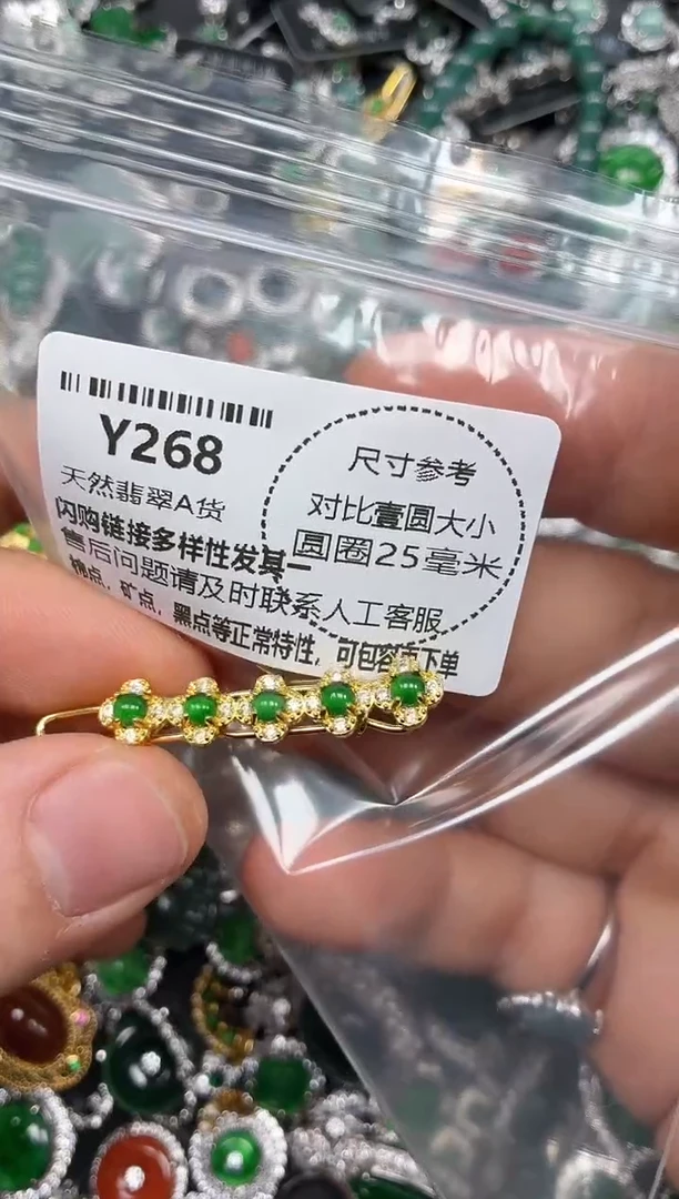 颈饰未镶嵌翡翠Y268发夹