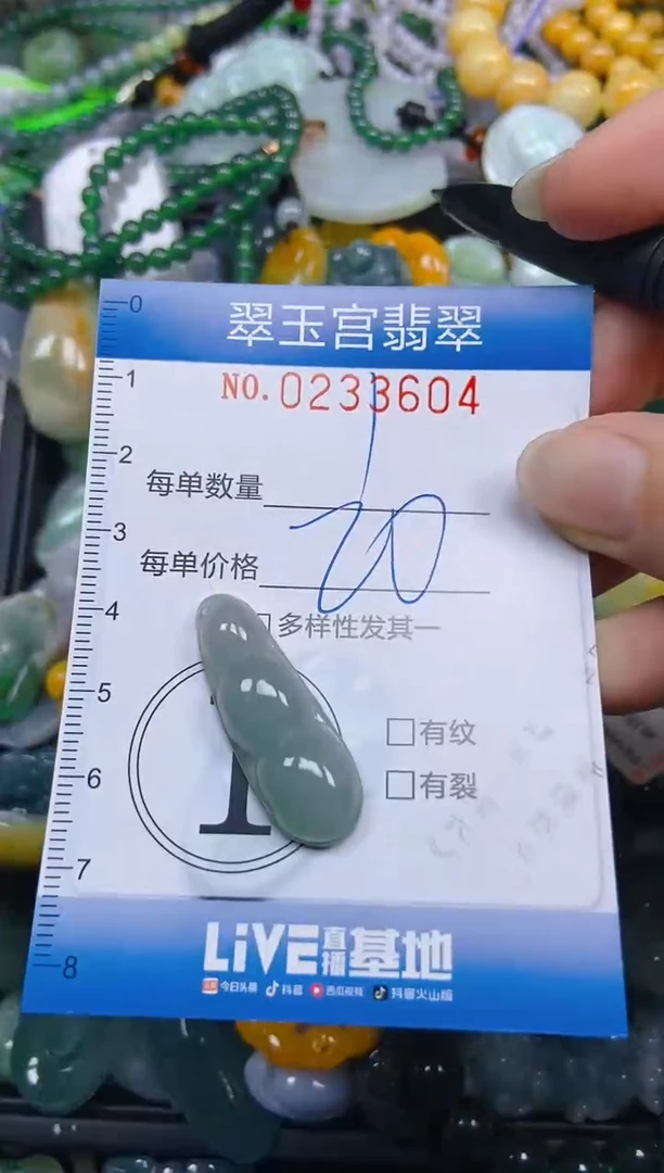 颈饰未镶嵌翡翠闪购C0233604