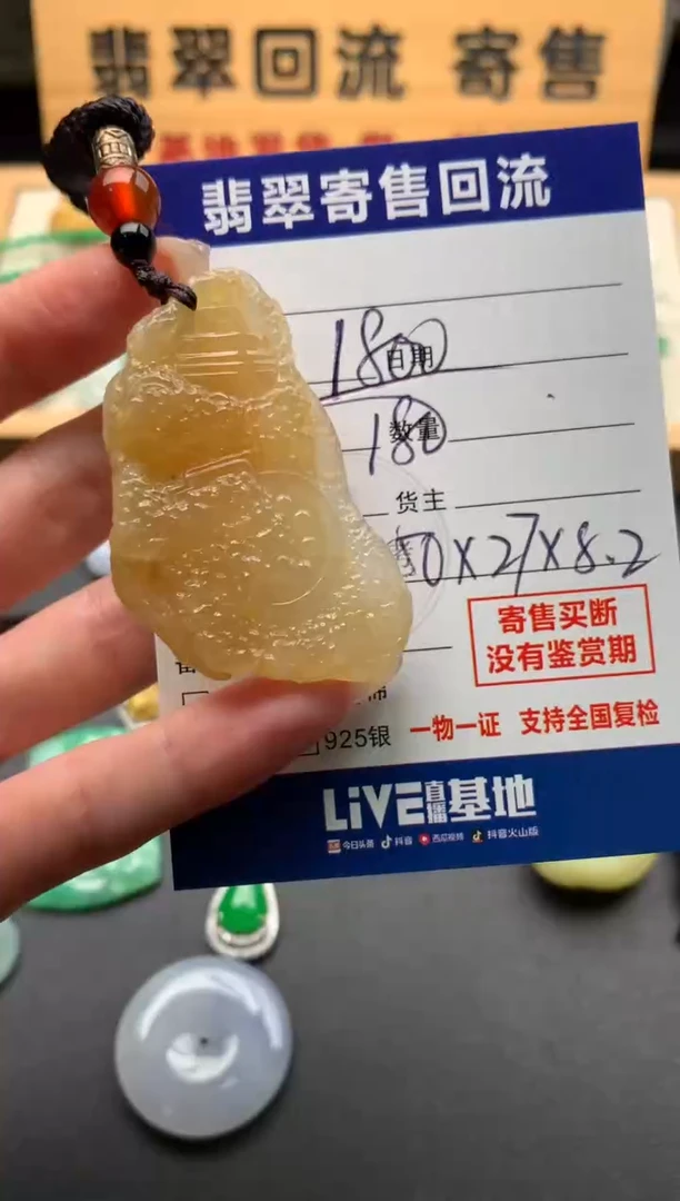 颈饰未镶嵌翡翠10144601